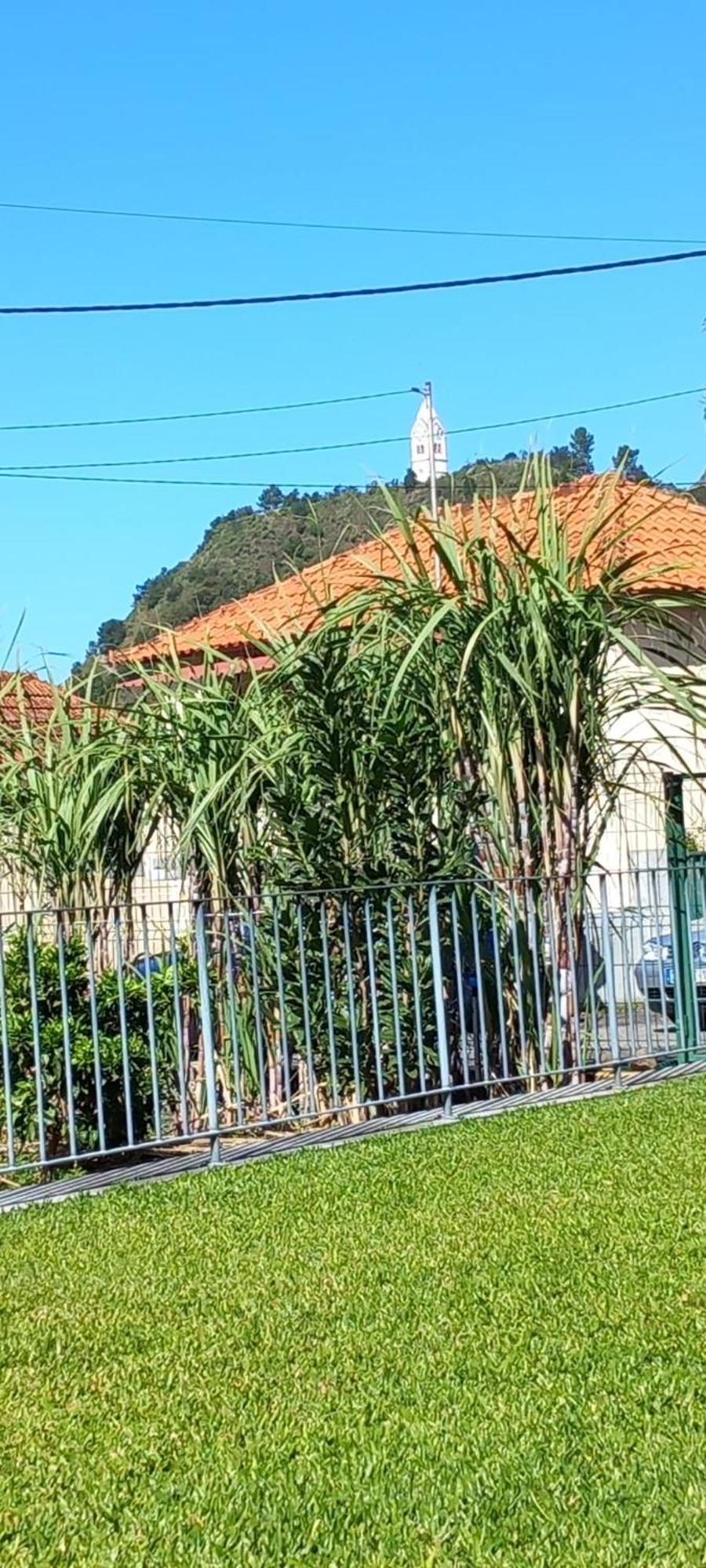 Refugio Do Limoeiro Villa São Vicente Exterior foto
